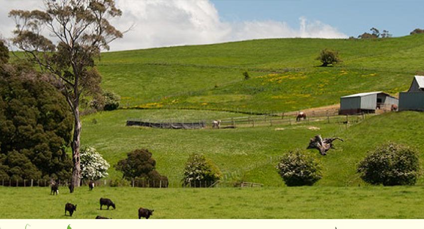 planting-on-a-farm